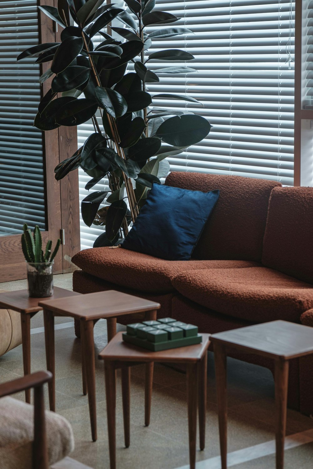 a living room filled with furniture and a plant