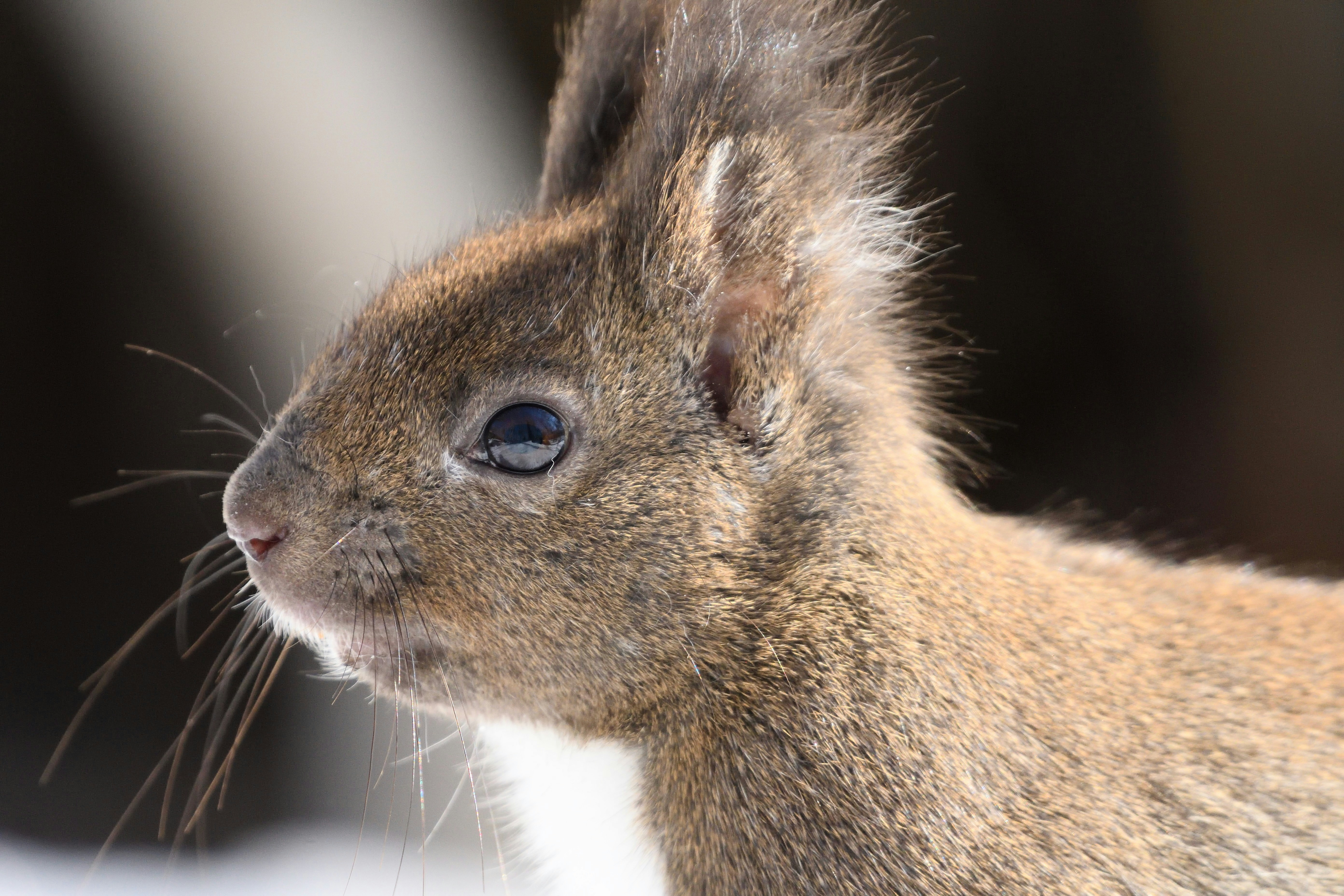 以下提供五個點閱誘餌風格的標題，針對文化熱門主題：