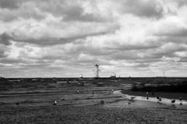A serene black and white seascape with gentle waves rolling onto the shore. Several seabirds are wading near the foreground, and a lighthouse stands prominently on the horizon. The sky is filled with dramatic, expansive clouds, adding texture and depth to the scene.