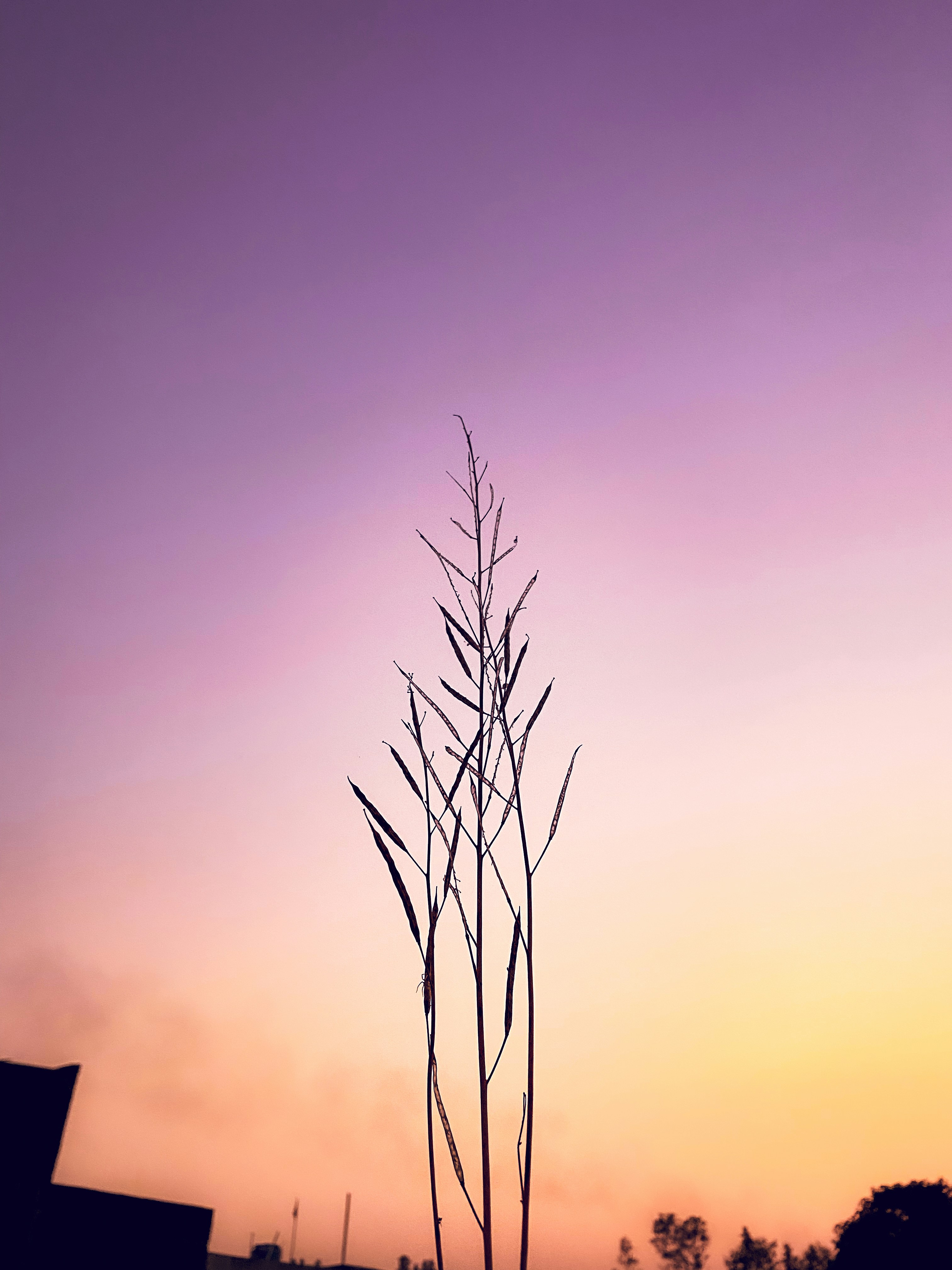 Photo by sumitshah00