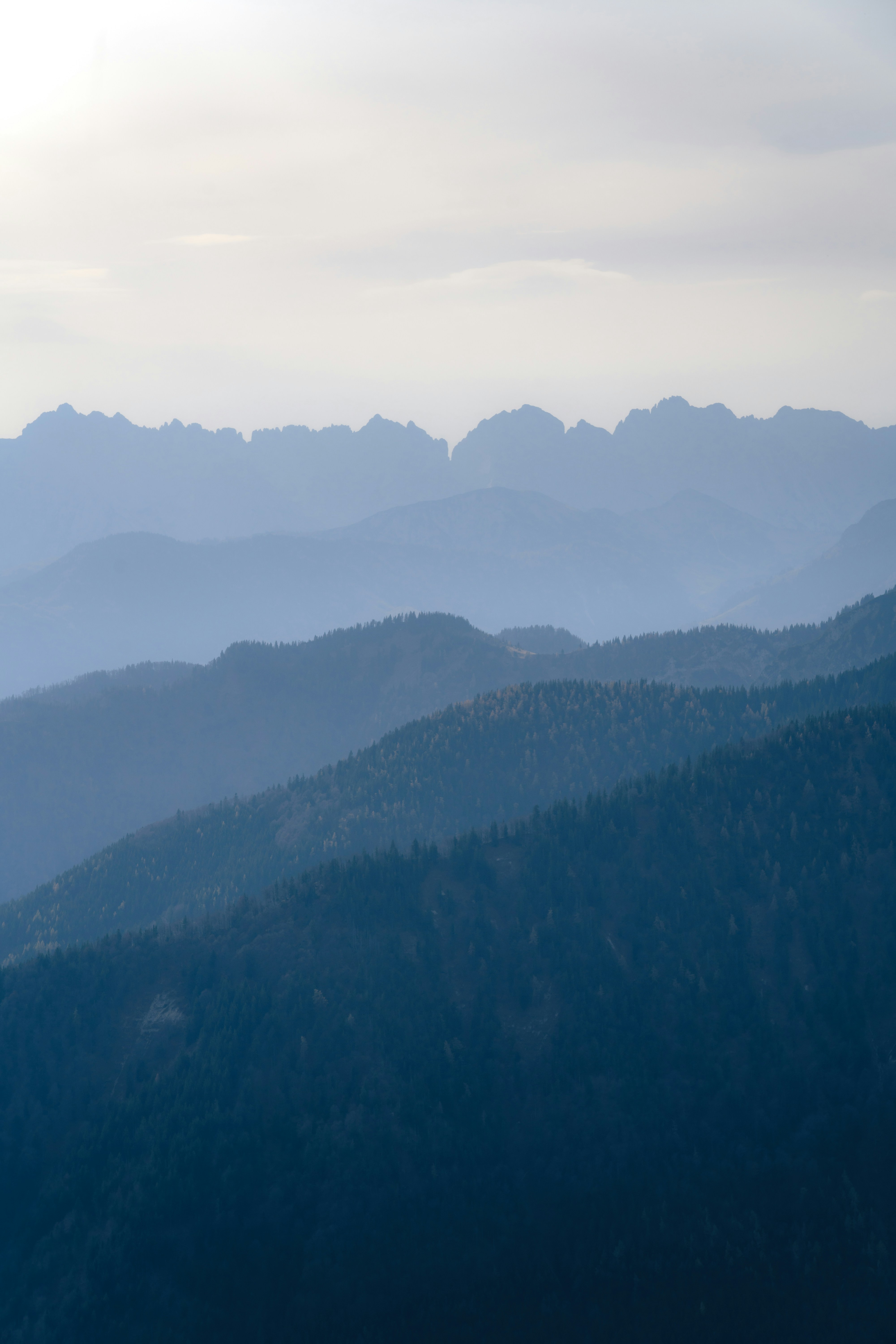 Photo by danielsessler