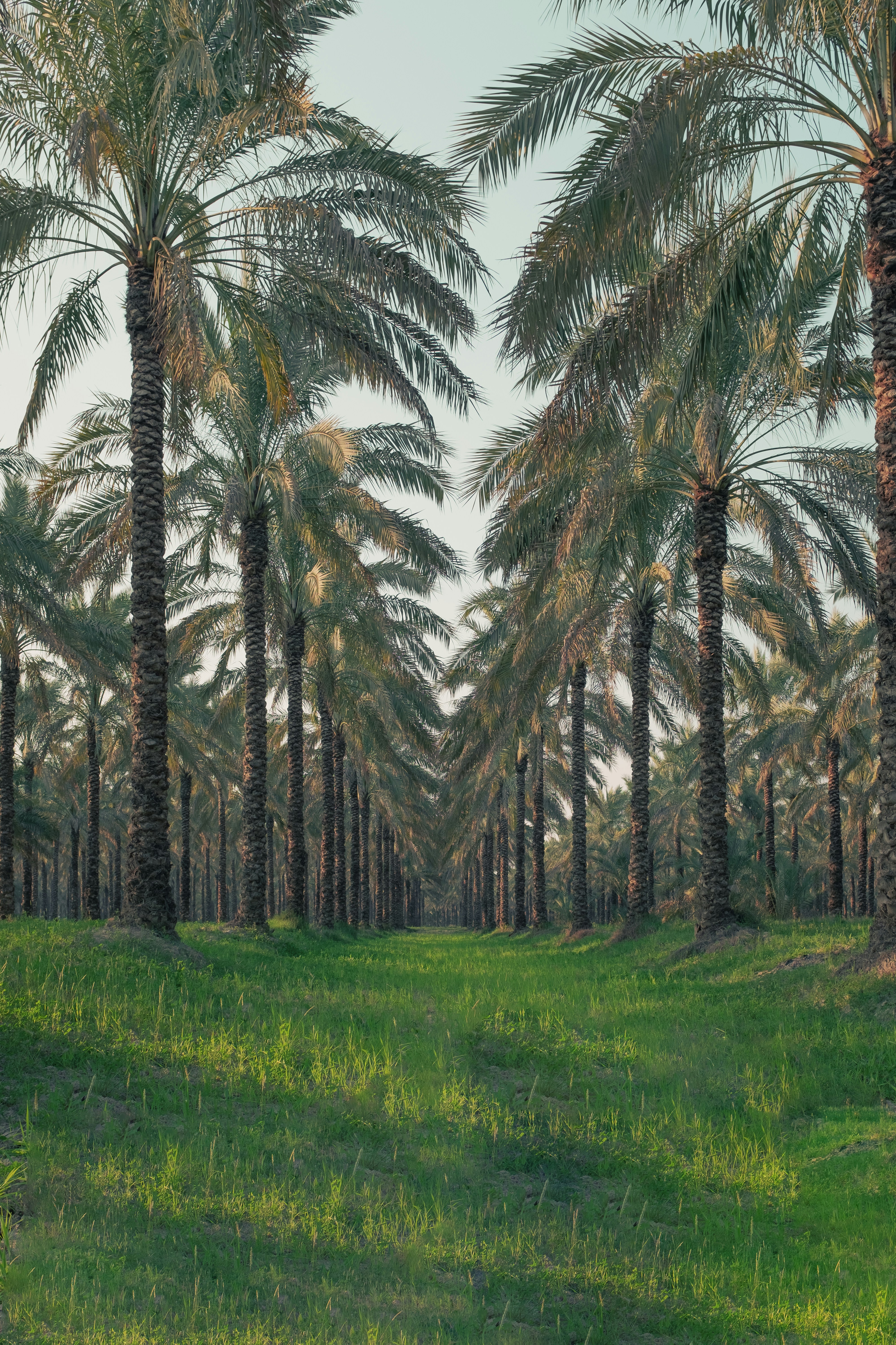 Photo by rohollahsaberi