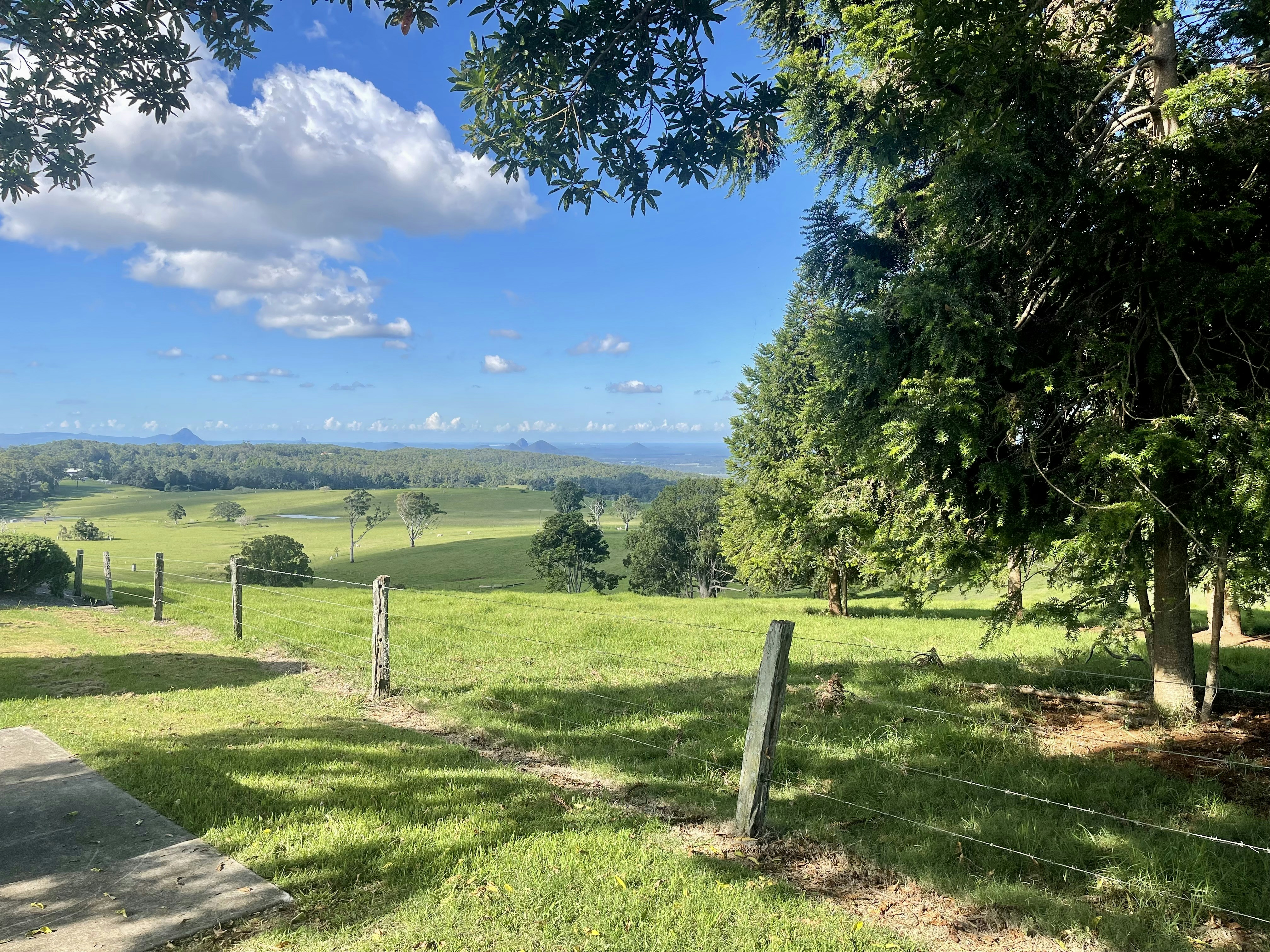 a grassy field with a fence and trees
