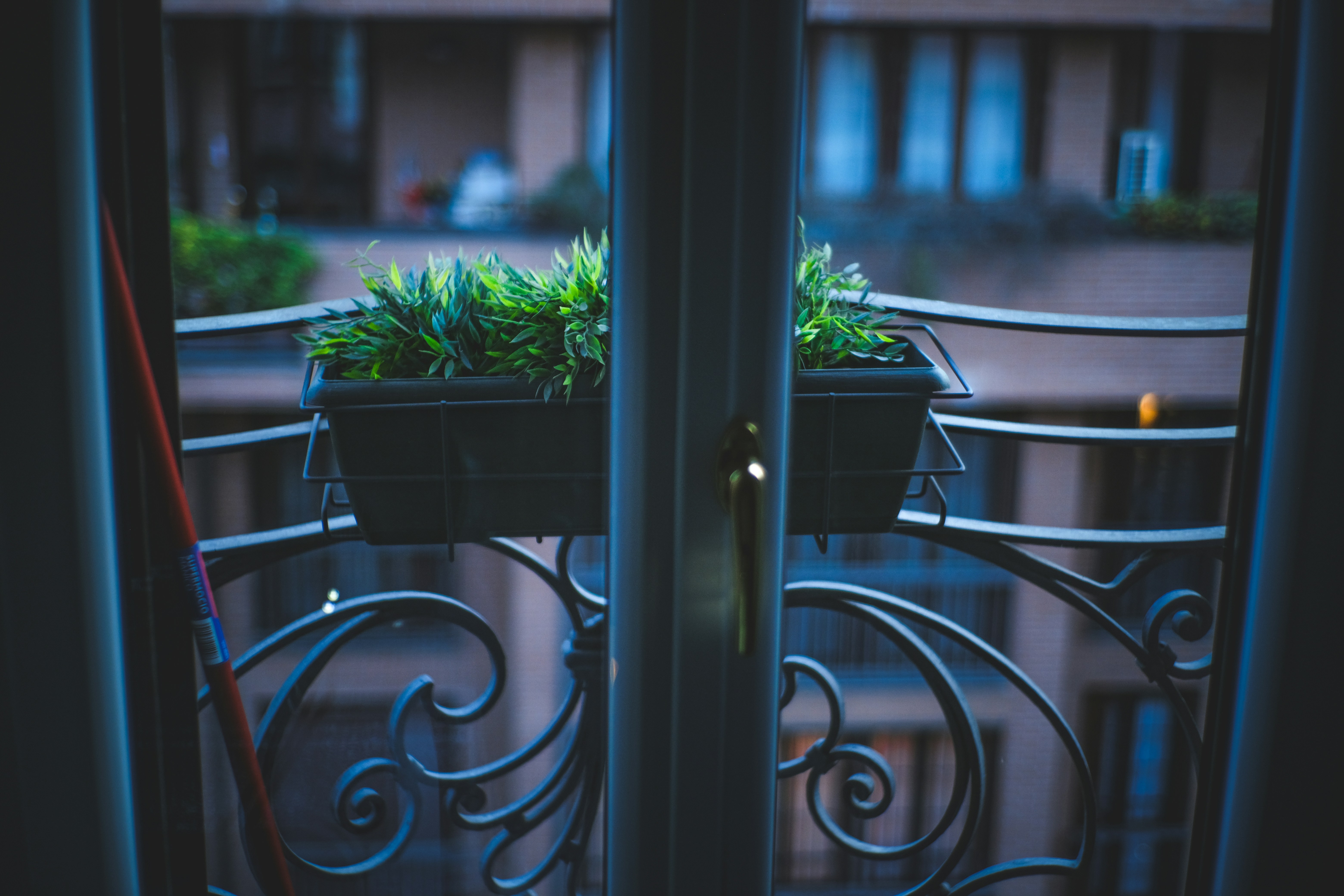 Photo by francesco_ungaro