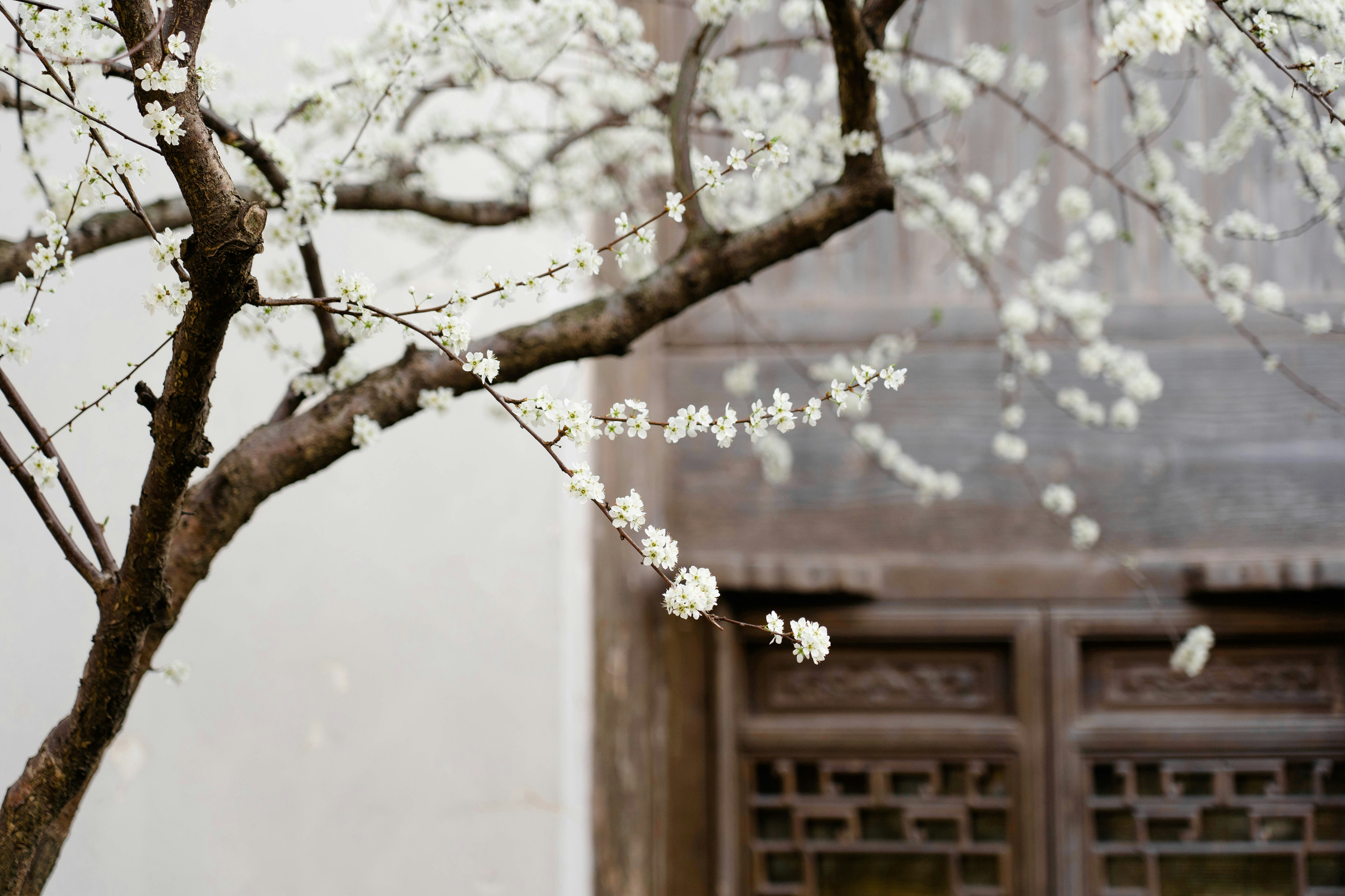 Photo by akira_b