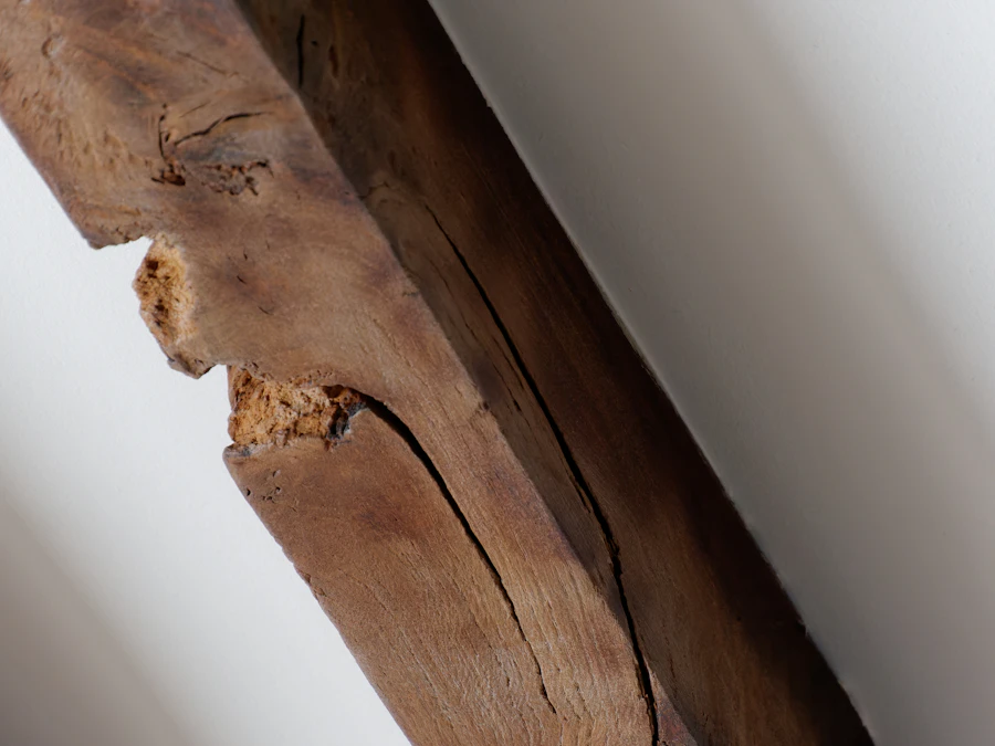 Wood grain texture showing timber vulnerable to wood borer
