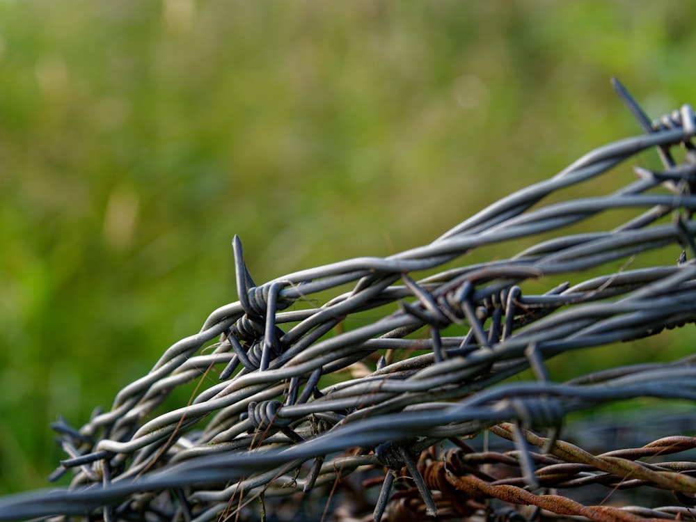 a bunch of barbed wire sitting on top of a field