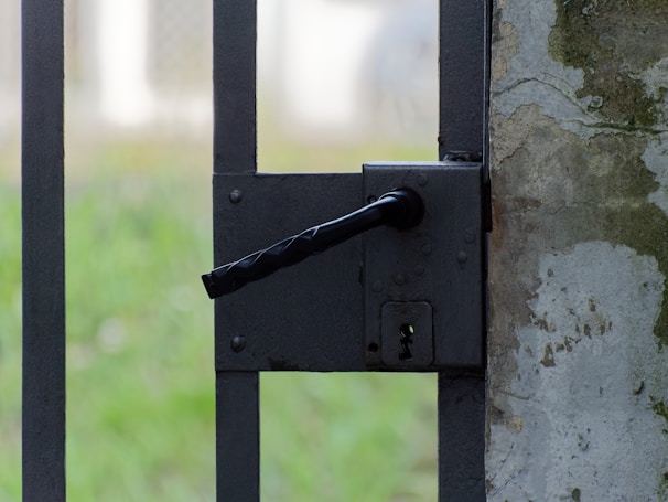 A close-up of a secure latch on a pet gate designed for small dogs.