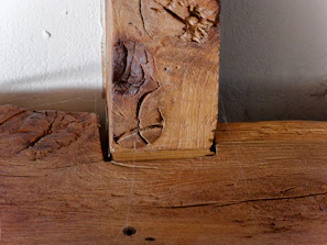Close-up of a technician inspecting wooden beams for termite damage in a residential crawl space.