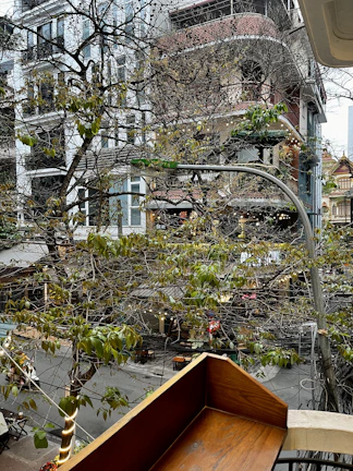 View from the living room window overlooking leafy Putnam Avenue and nearby local shops.