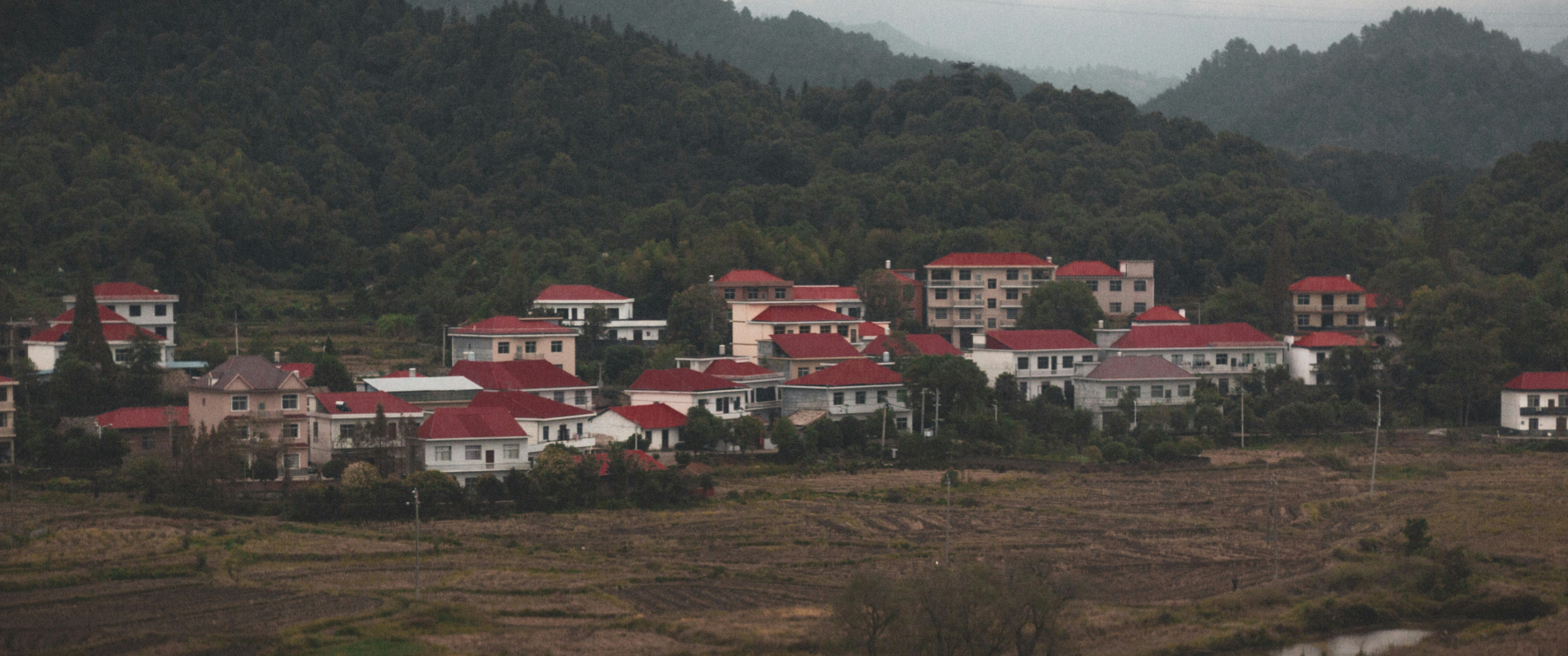 Photo by alcantaraphoto98