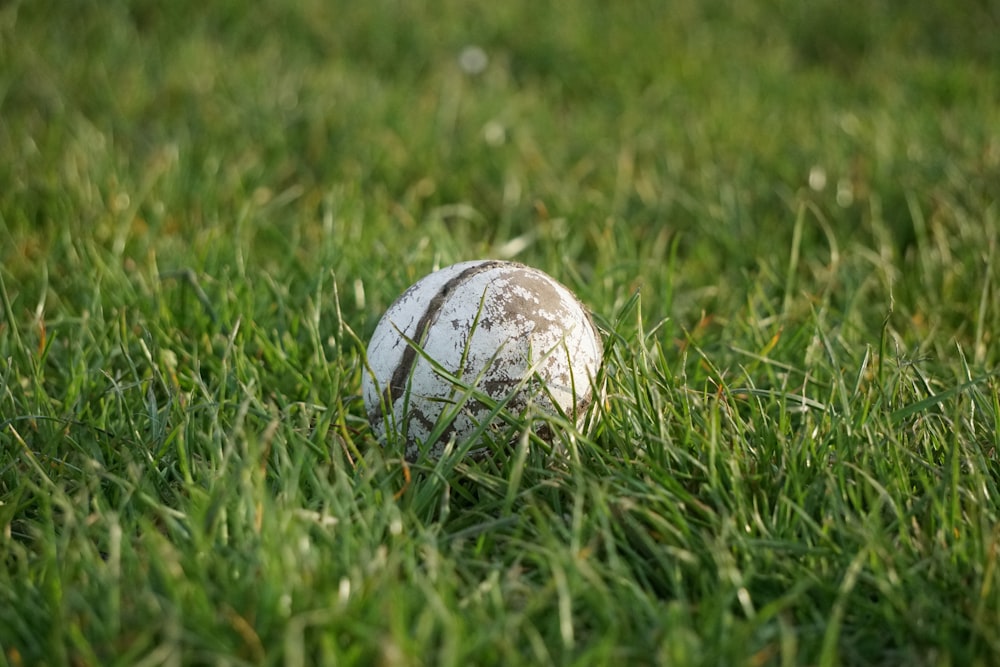 Una pelota blanca sentada en medio de un campo verde