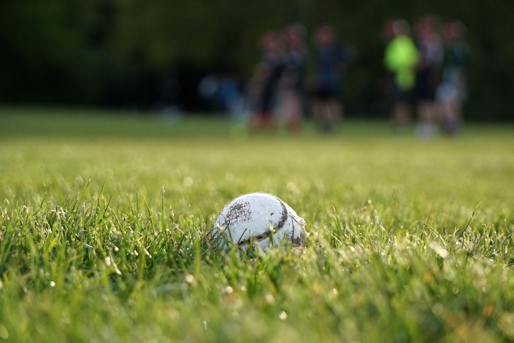 Una pelota blanca sentada en la parte superior de un exuberante campo verde