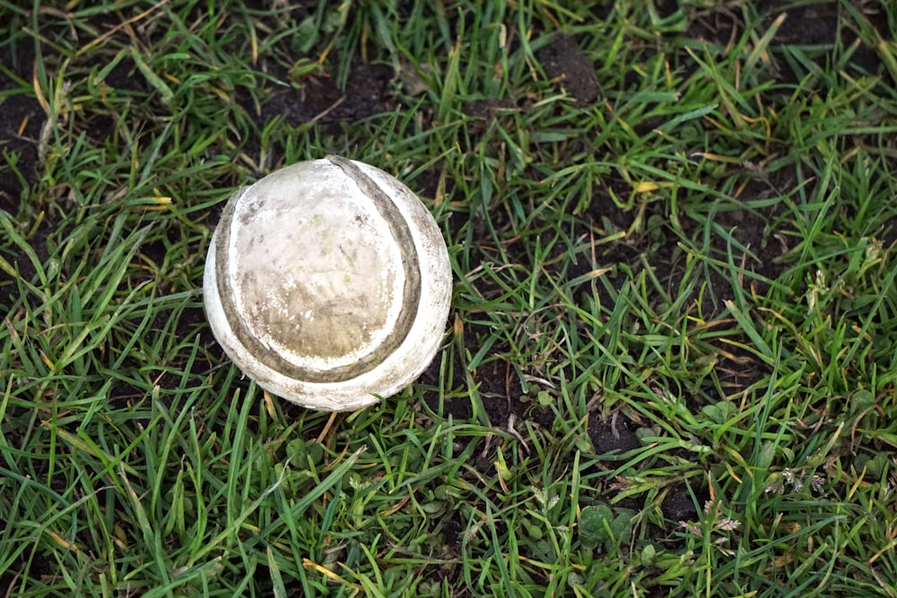 Una vieja pelota de tenis sentada en la hierba