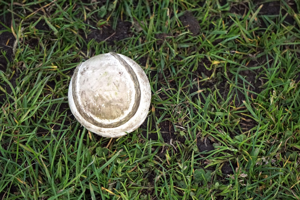 an old tennis ball sitting in the grass