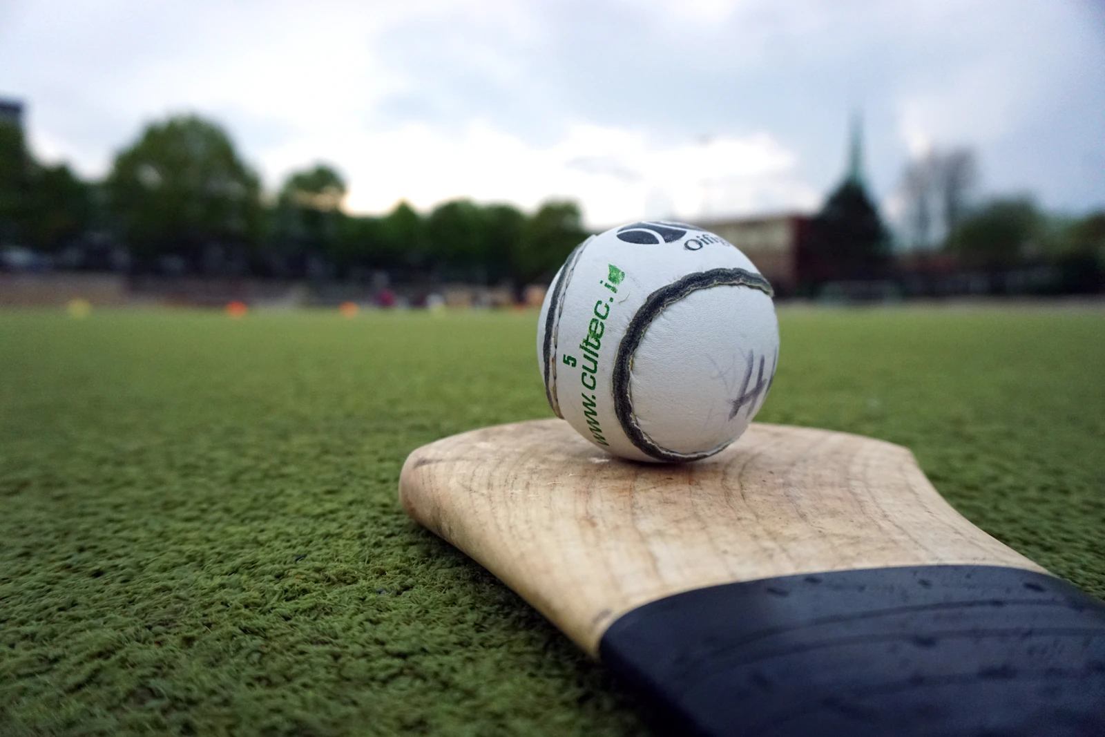 Cricket ball resting on a wooden bat