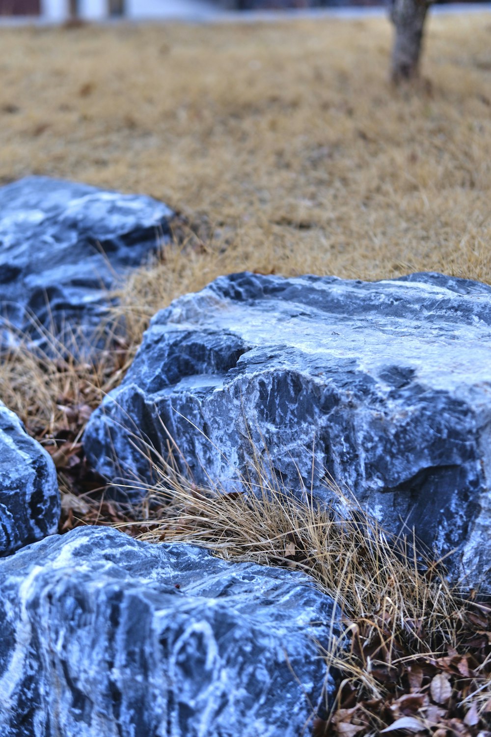 a bunch of rocks that are in the grass