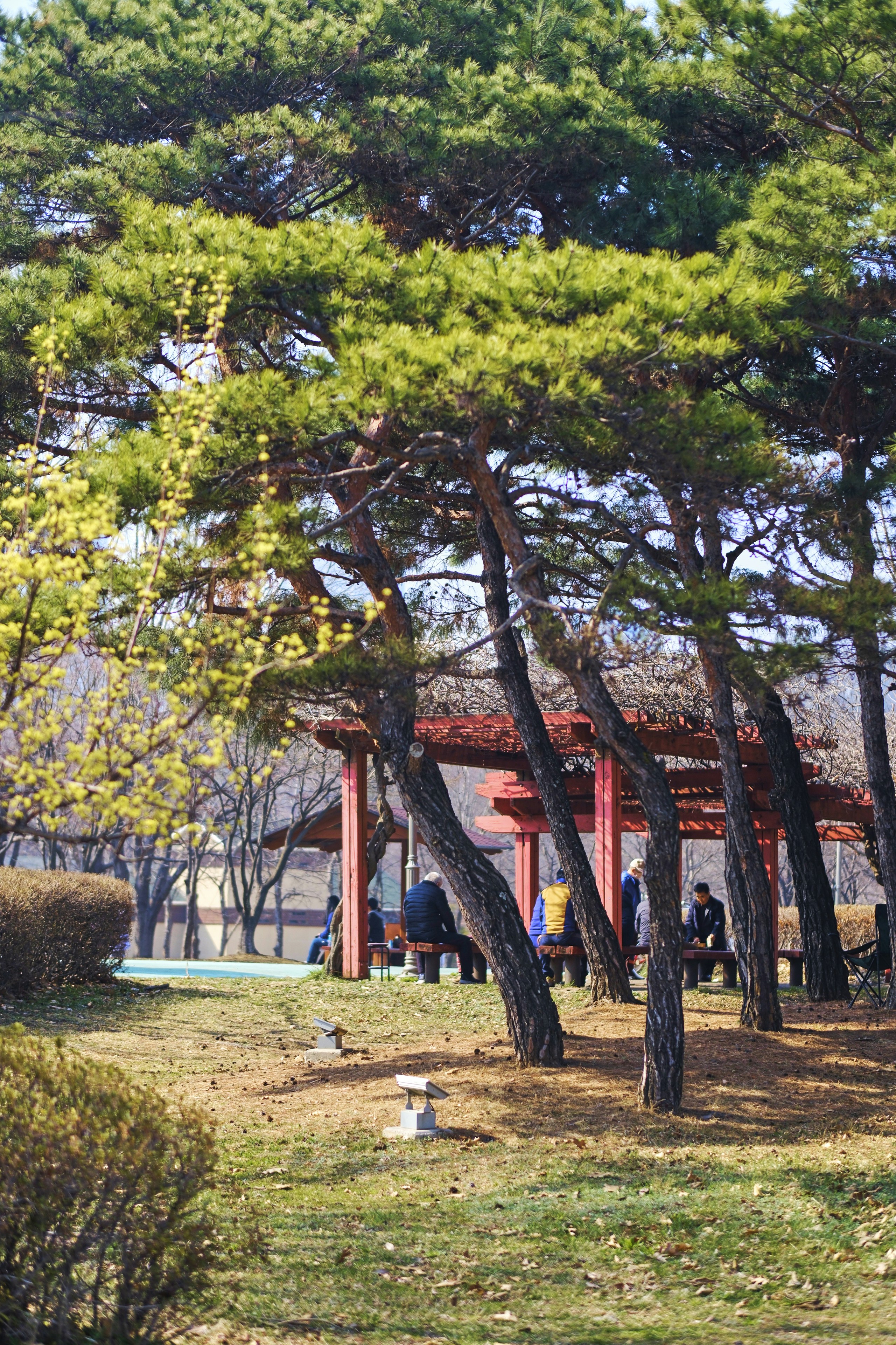 부산 광복동 트리축제 주차 및 코스 이미지1