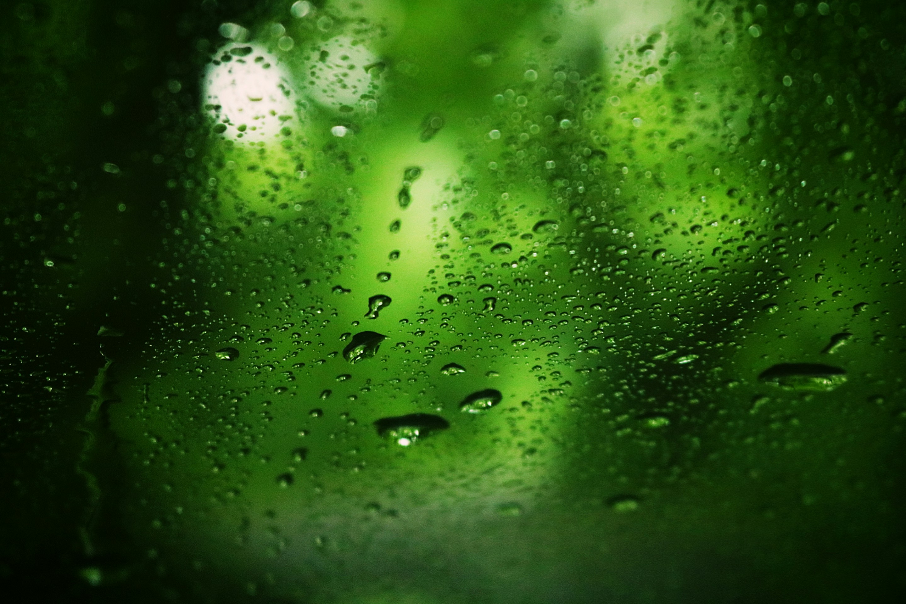 Photo by hesan_ajdadi