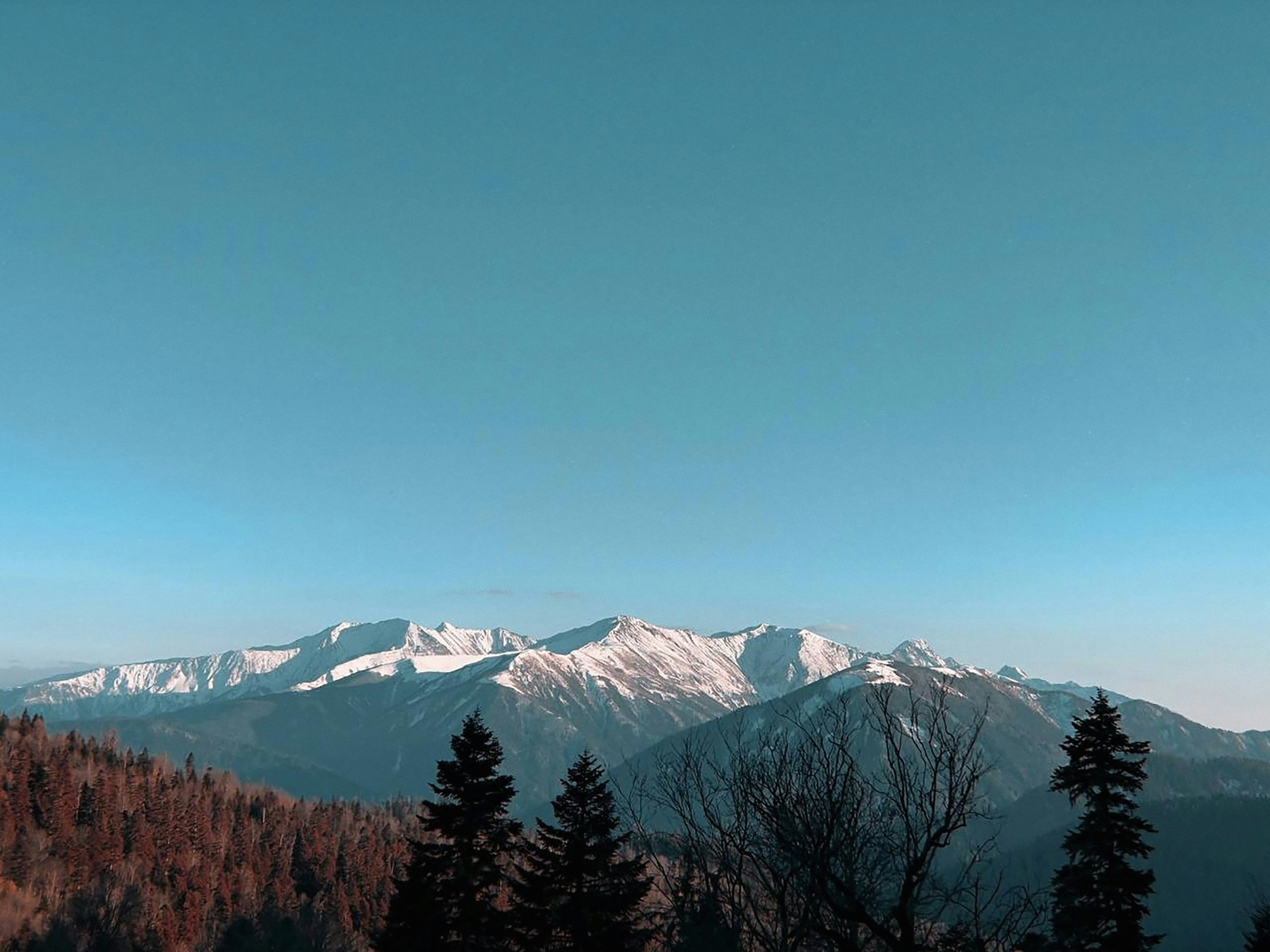 Blick auf eine Bergkette mit Bäumen im Vordergrund