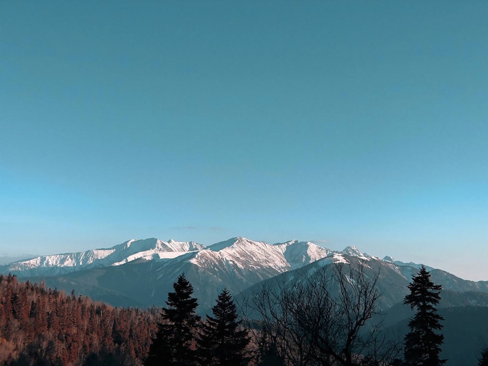 a view of a mountain range with trees in the foreground