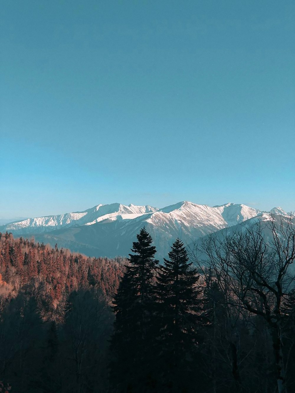 a view of a mountain range with trees in the foreground