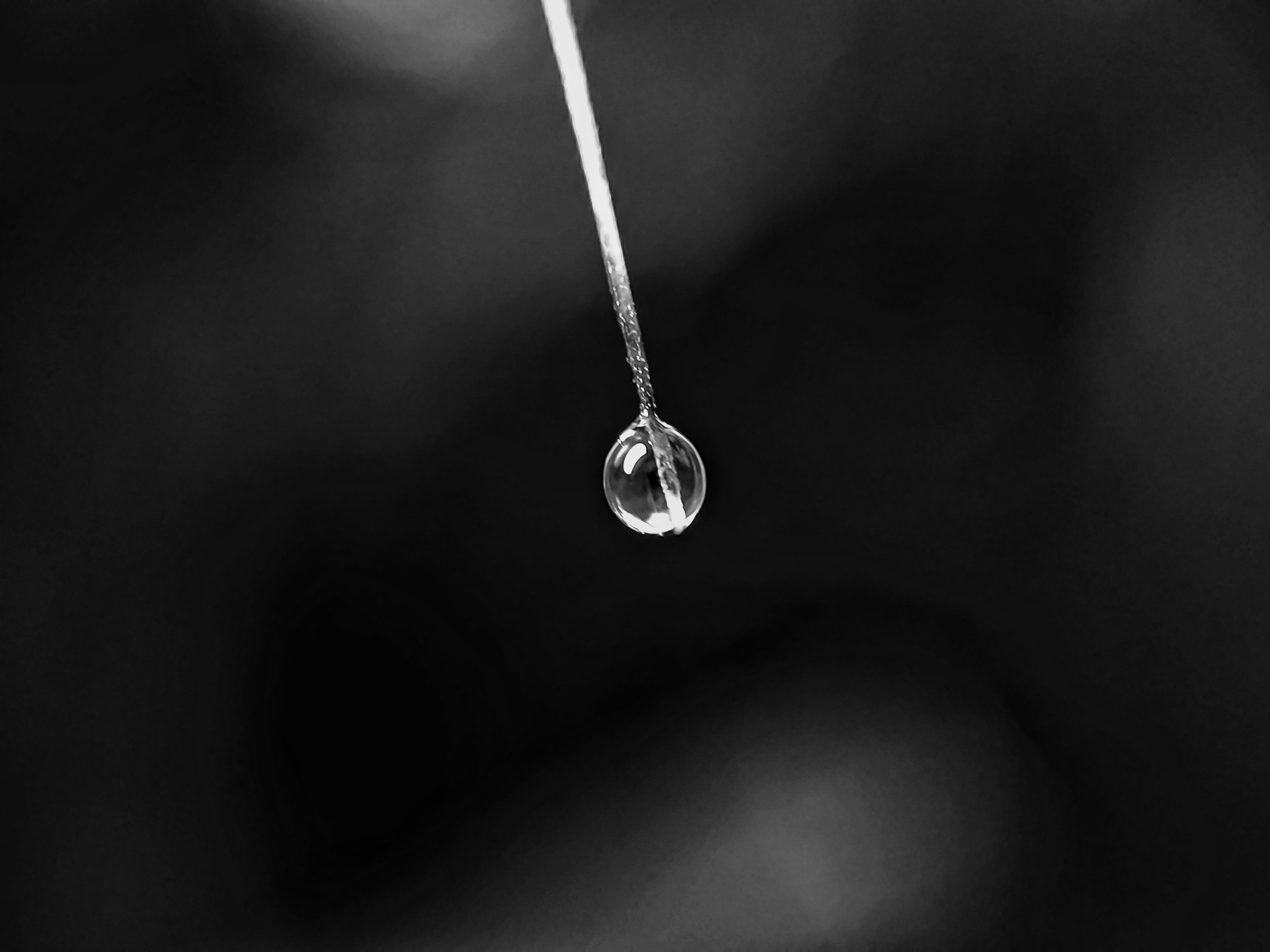 Photo by shook_harun