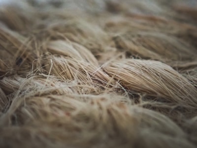 Close-up of delicate natural fibers intertwined with metallic threads.
