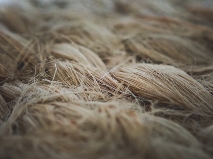 Close-up of natural flax fibers bundled and ready for export, showcasing their texture and quality.