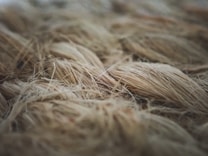Close-up view of intertwined strands of natural fiber that exhibit a textured and organic appearance. The fibers are densely packed and vary in direction, creating a complex pattern with a focus on the details of each strand.