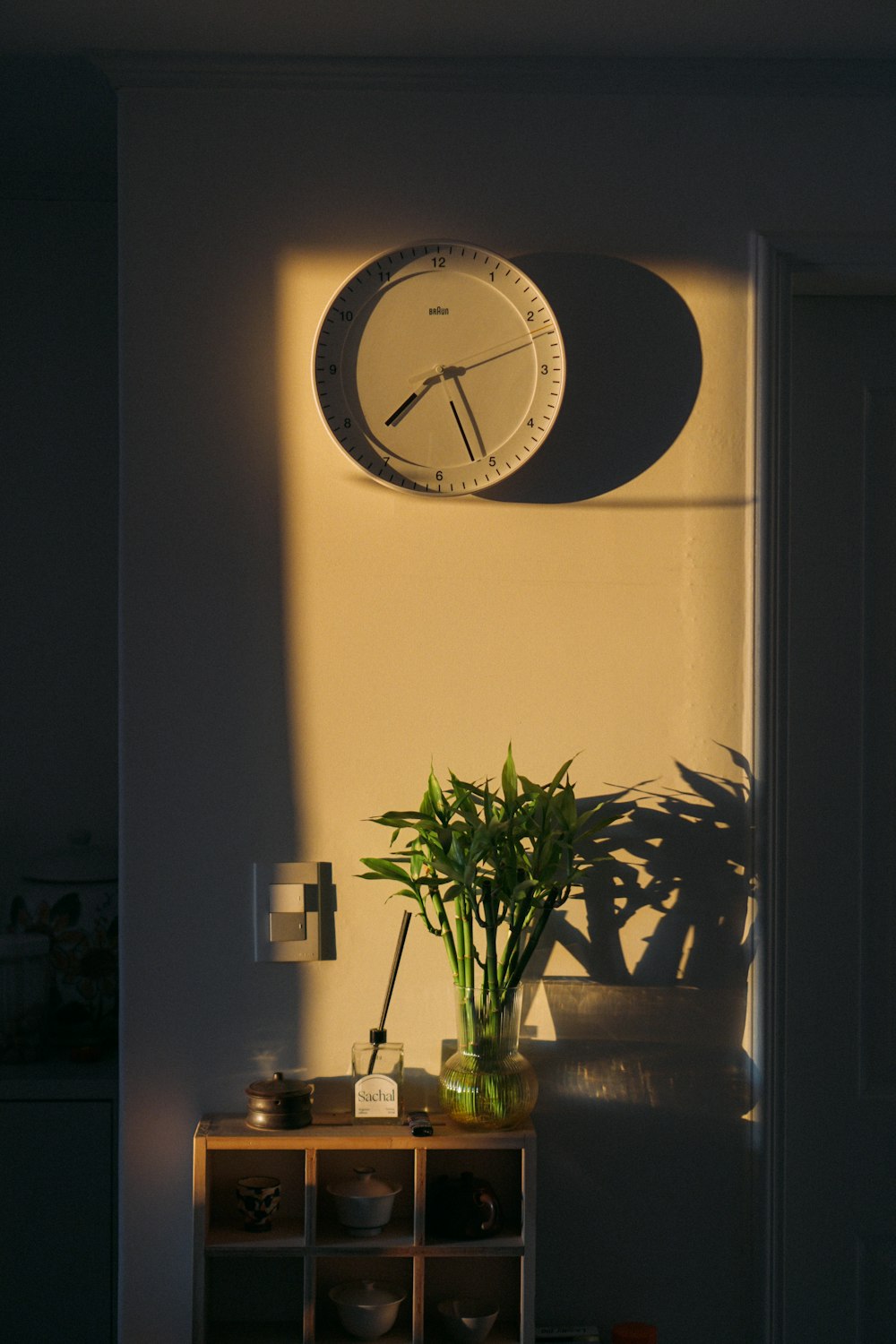 a clock mounted on the wall above a plant