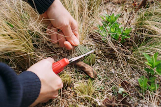 a person cutting grass with a pair of scissors