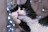 An enchanted black-and-white cat mascot glowing softly with stars and paw prints around it.