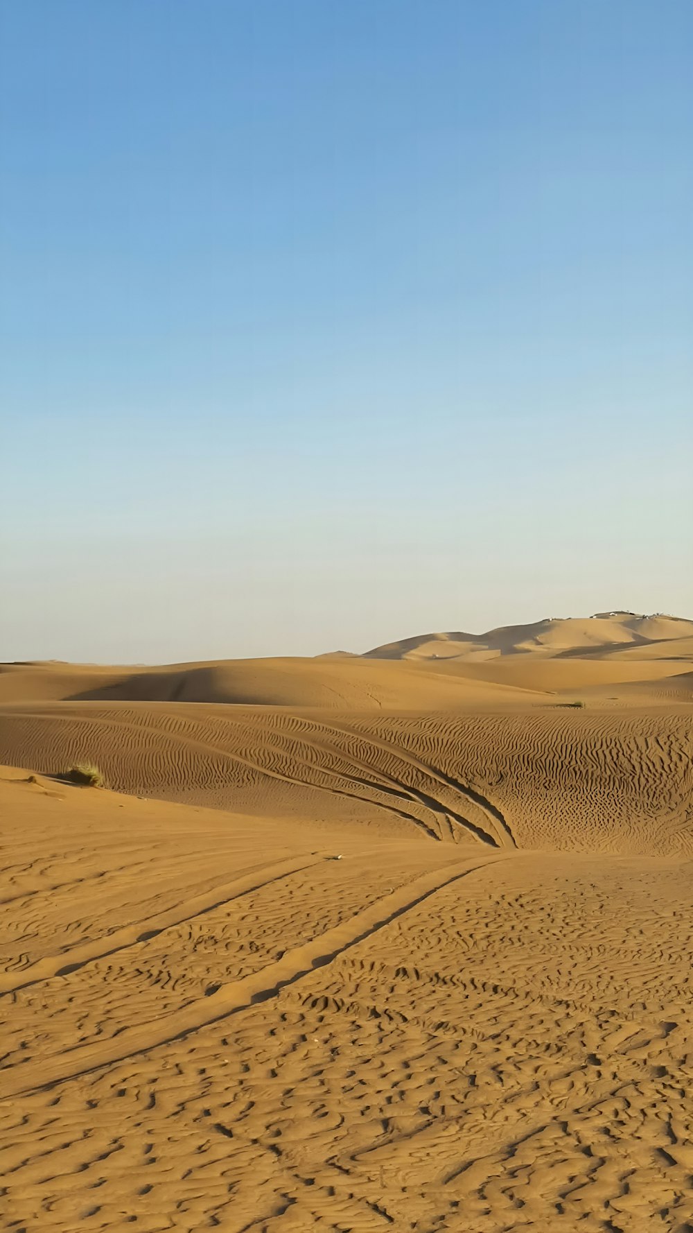 a person riding a horse in the desert