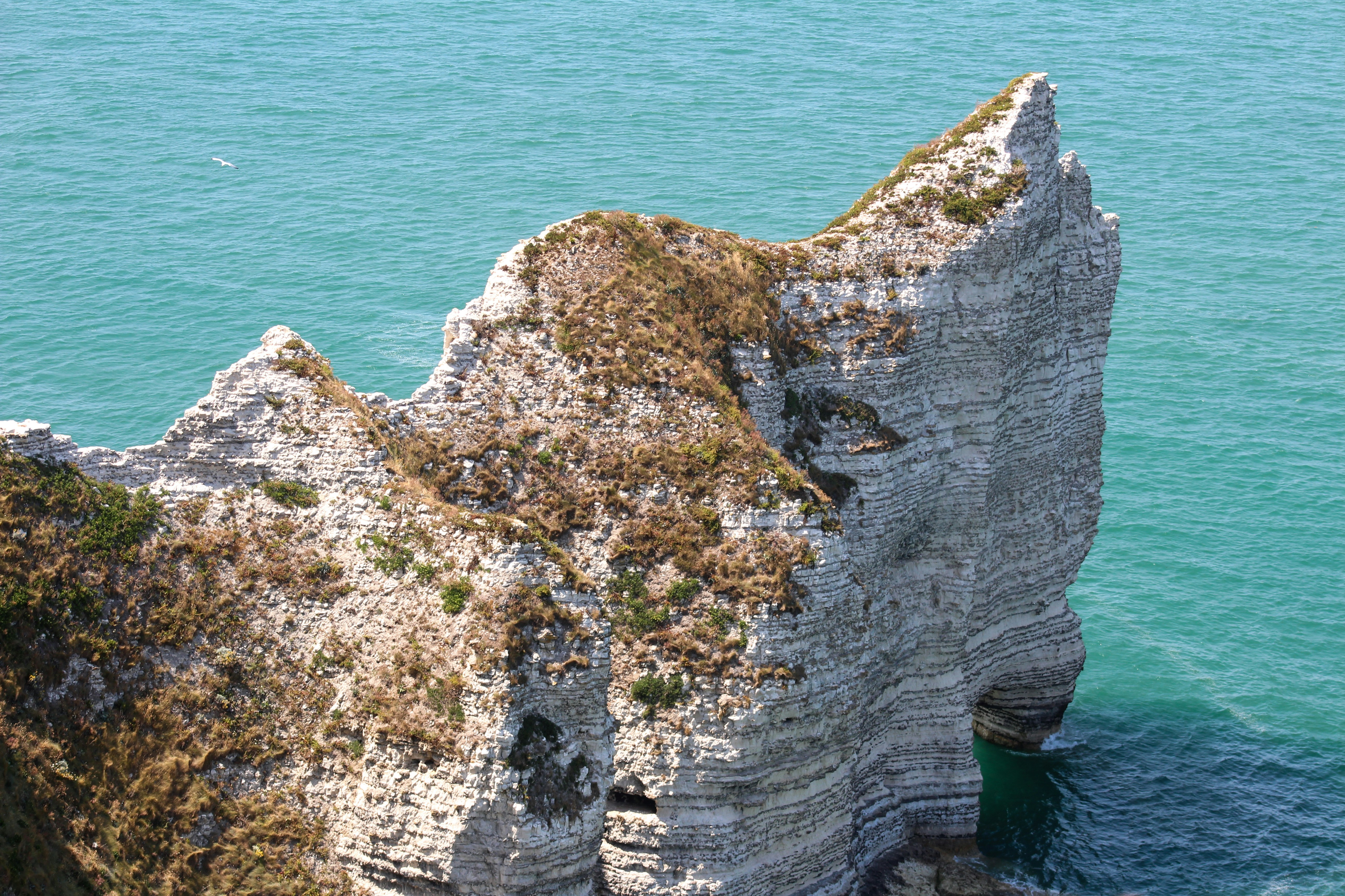 Photo by sifraeunice