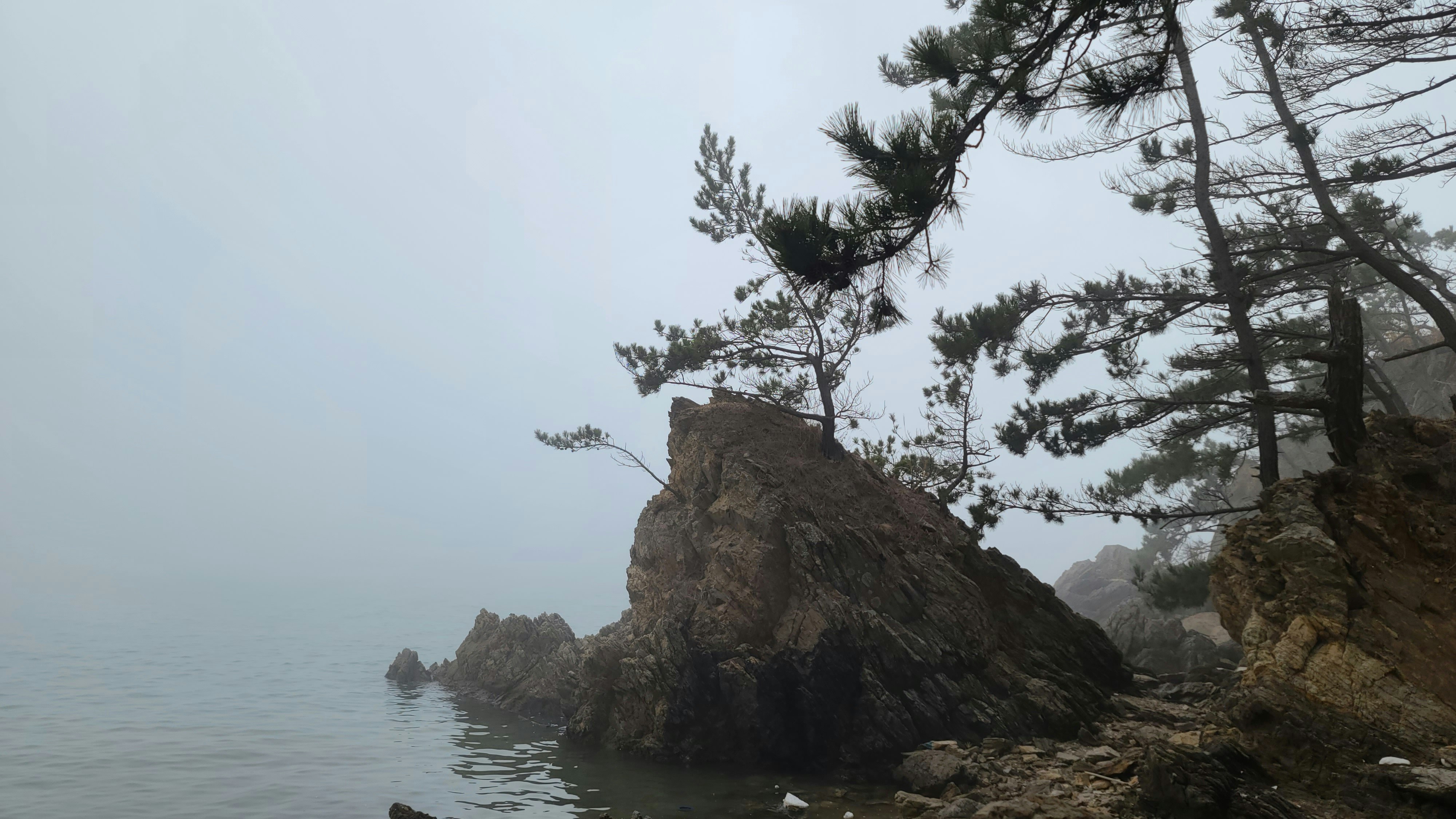 Photo by ds1rvi