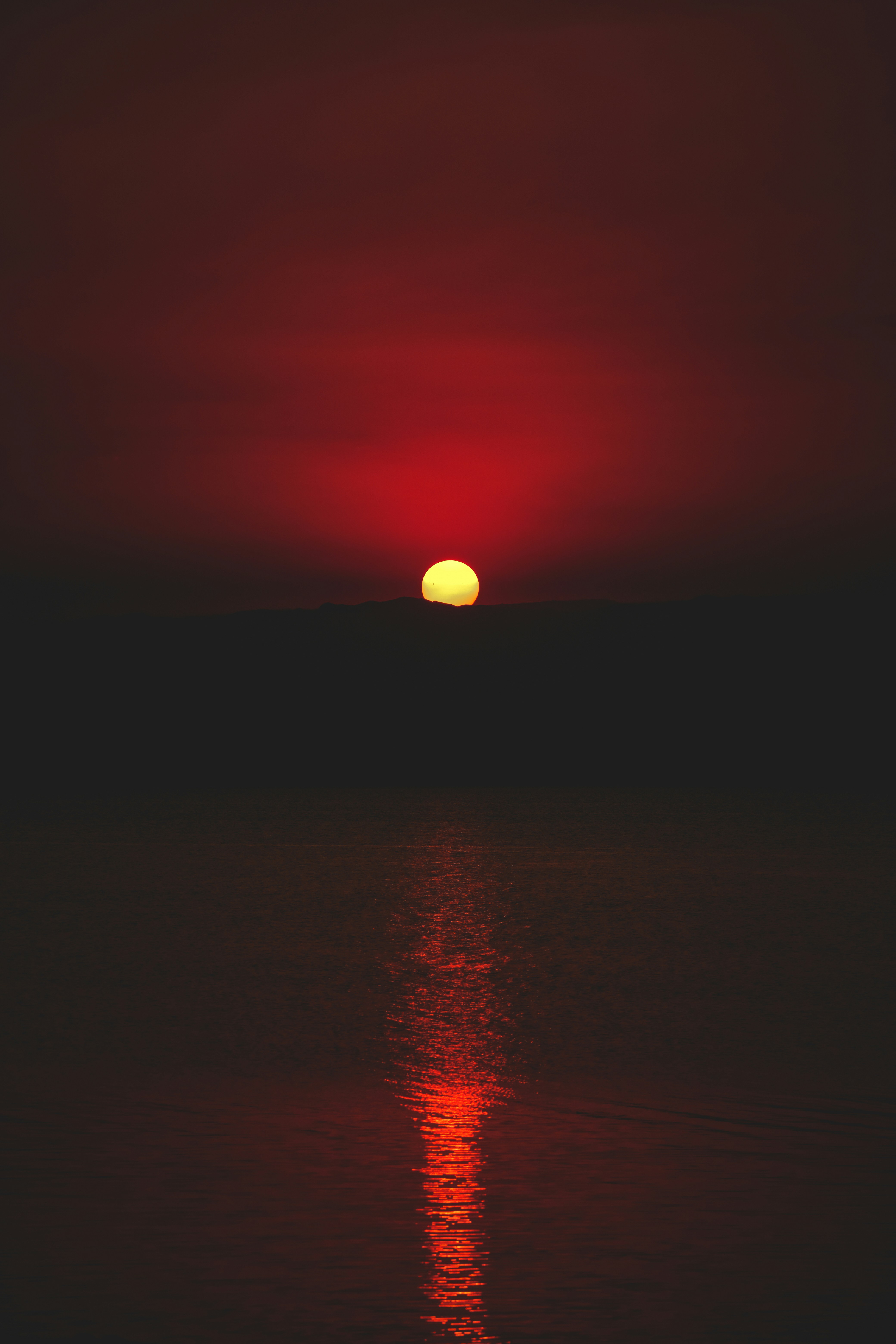 Photo by francesco_ungaro