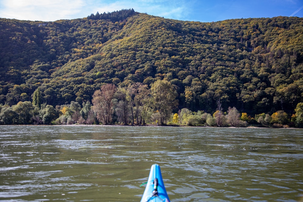 a view of a river with a mountain in the background