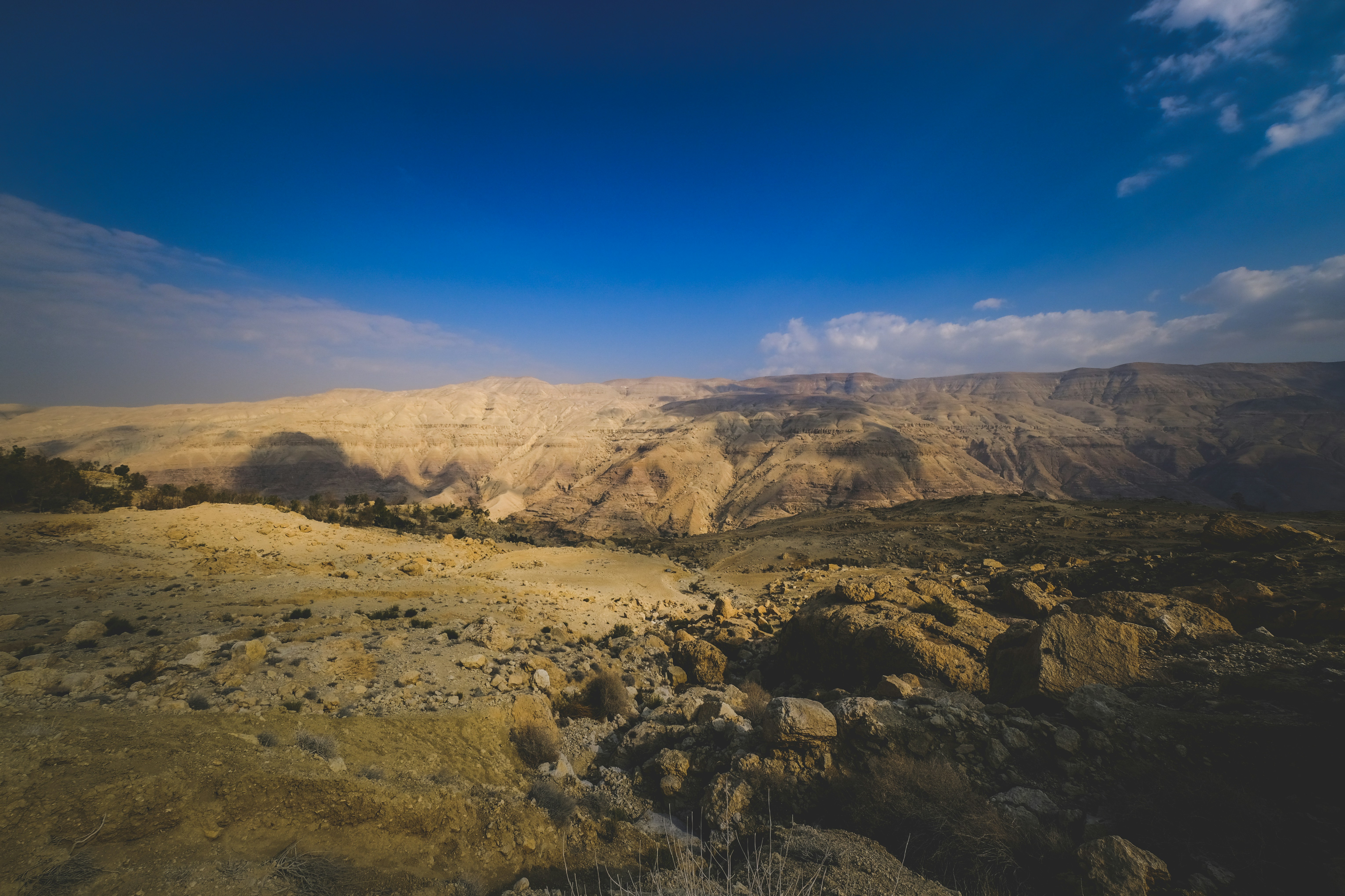 Photo by francesco_ungaro