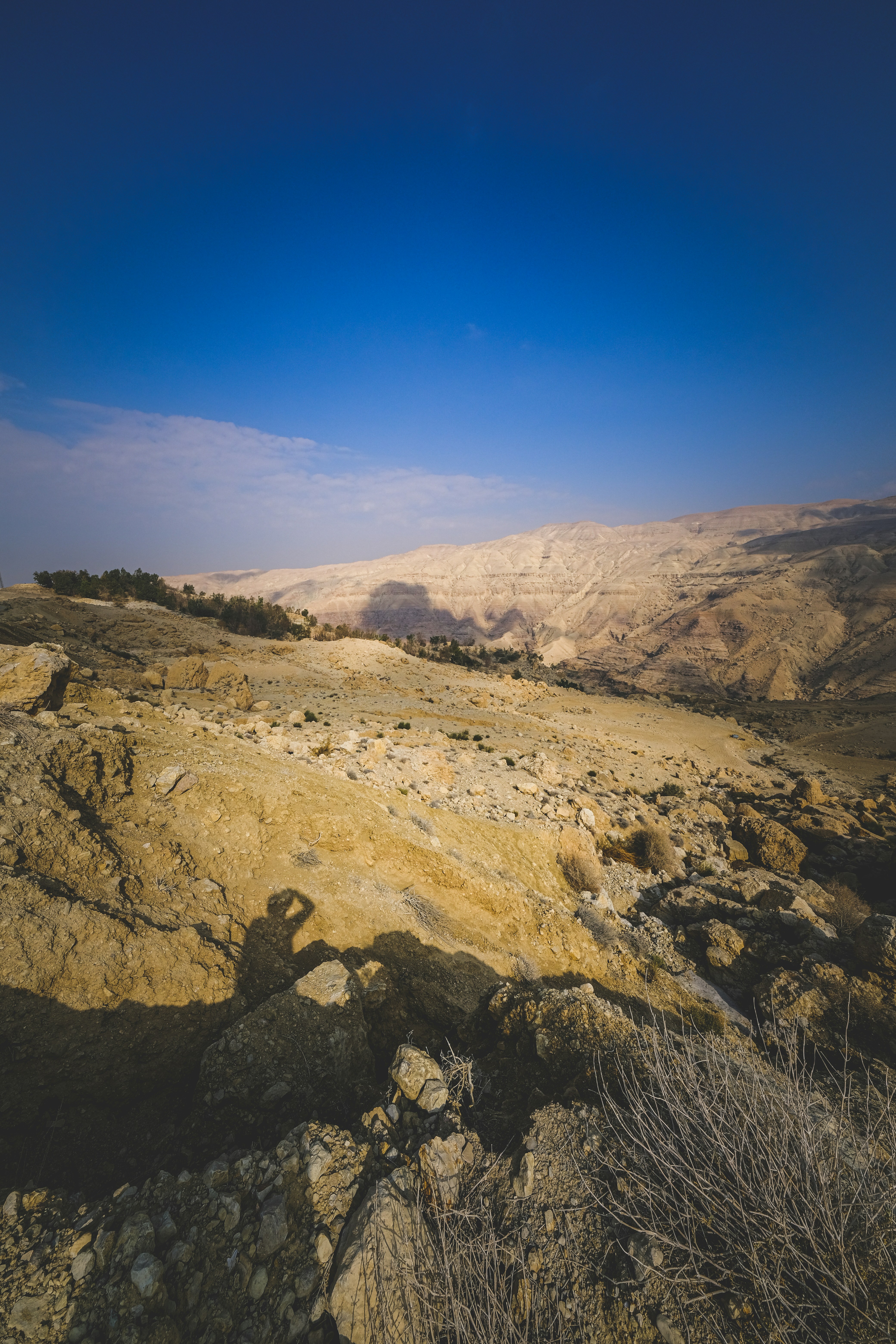 Photo by francesco_ungaro