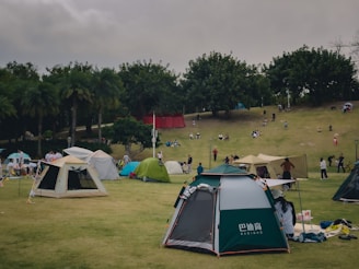 A park setting featuring several tents set up on a grassy area with people engaged in various activities. The background shows a small hill populated with trees and more people relaxing or walking. The scene is busy with a mix of gatherings and leisure activities.