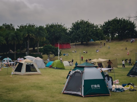 A park setting featuring several tents set up on a grassy area with people engaged in various activities. The background shows a small hill populated with trees and more people relaxing or walking. The scene is busy with a mix of gatherings and leisure activities.