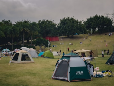 A park setting featuring several tents set up on a grassy area with people engaged in various activities. The background shows a small hill populated with trees and more people relaxing or walking. The scene is busy with a mix of gatherings and leisure activities.