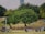 A park landscape with several large green trees and people enjoying leisure activities on the grass. Families and groups are seated on blankets, with some individuals engaging in playful activities. Tents are set up in various spots around the area, creating a relaxed and communal atmosphere.