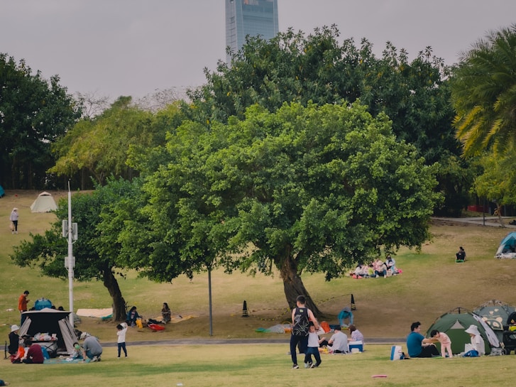 A park landscape with several large green trees and people enjoying leisure activities on the grass. Families and groups are seated on blankets, with some individuals engaging in playful activities. Tents are set up in various spots around the area, creating a relaxed and communal atmosphere.