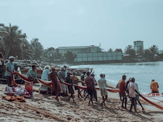 A group of people on a sandy beach are collaboratively pulling in a fishing net from the sea. The setting is tropical, with palm trees and a few buildings visible in the background.