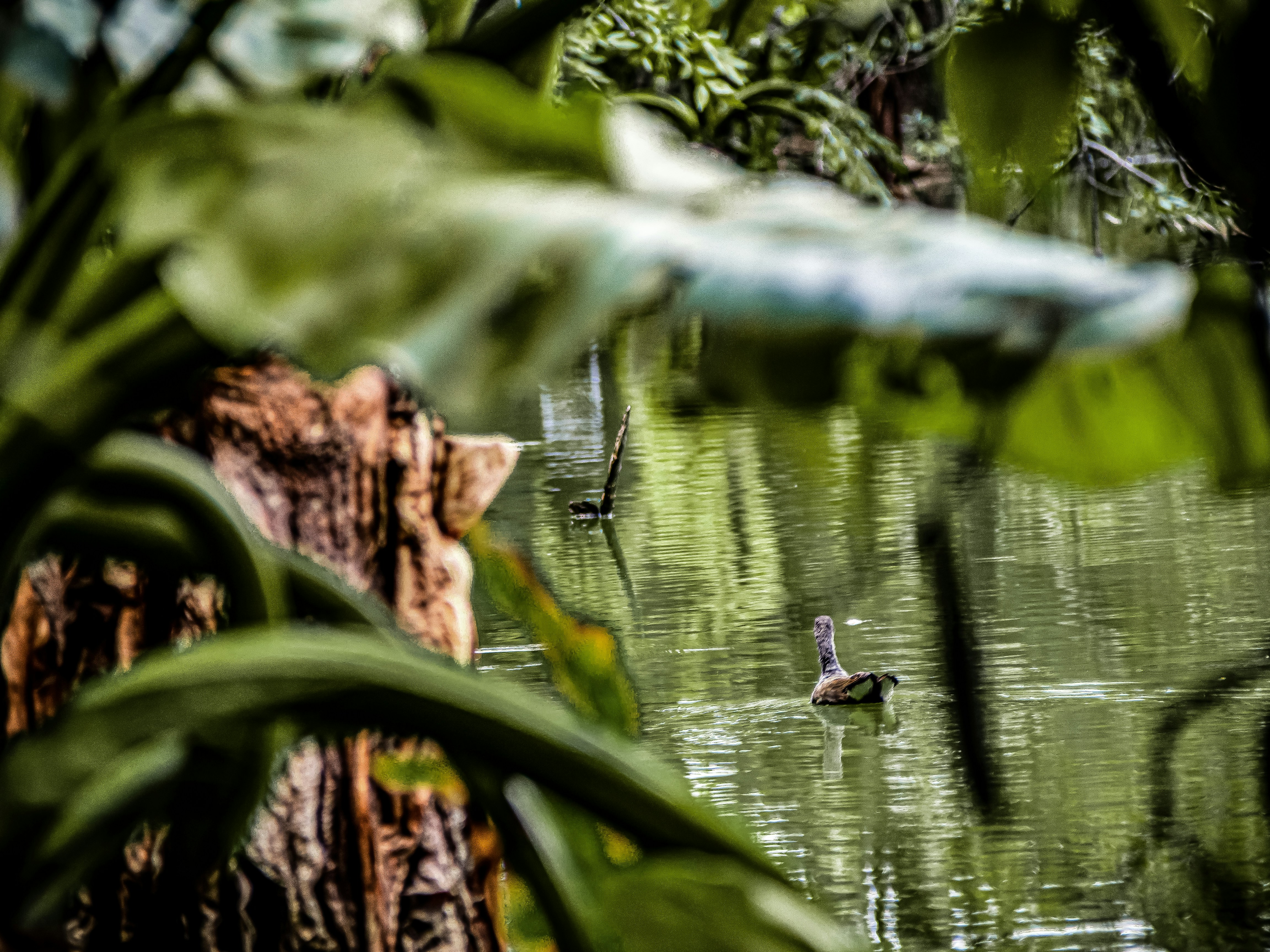 Photo by alekseyryan