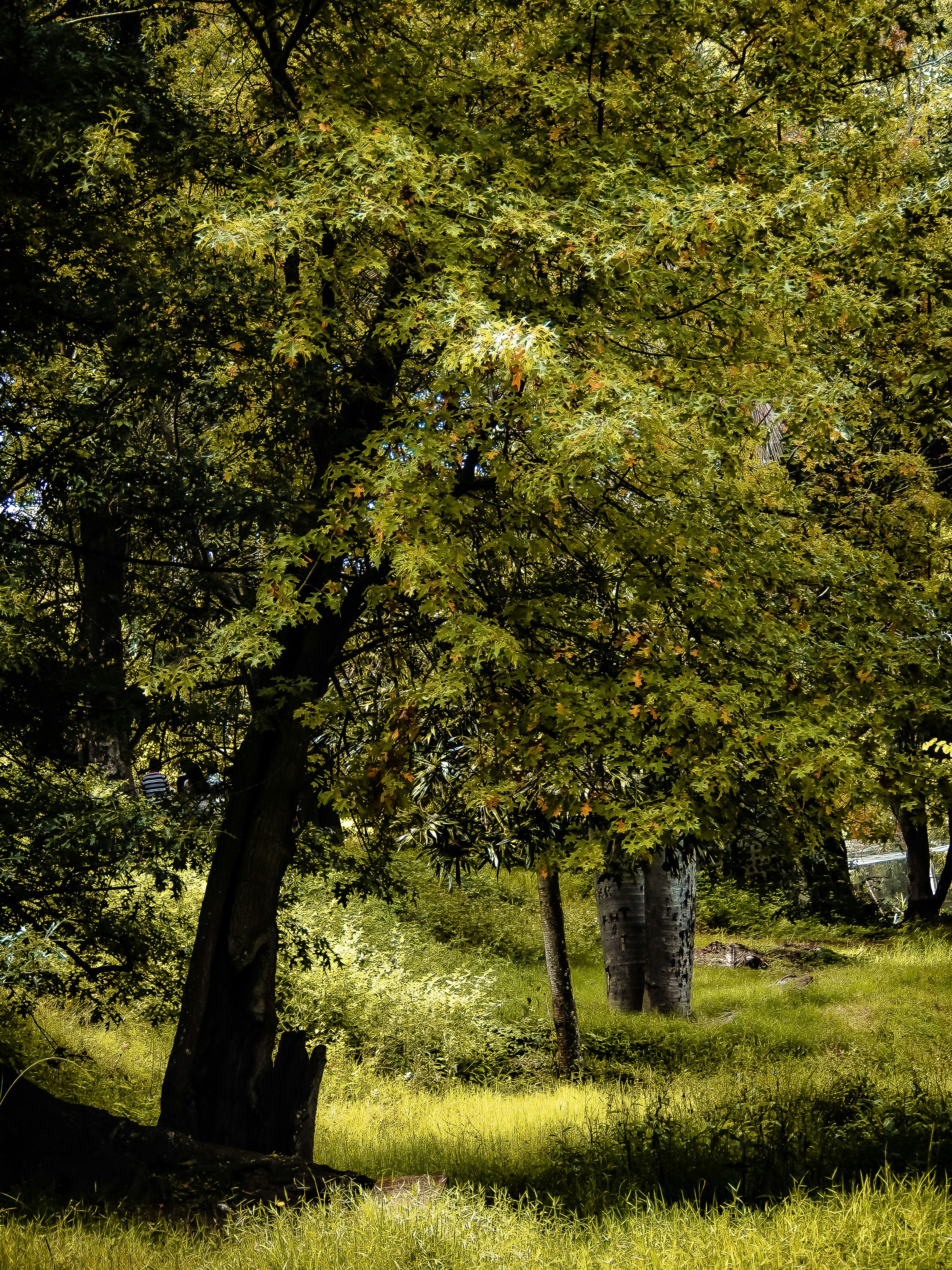 Photo by alekseyryan