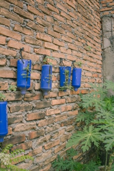 Several blue plastic bottles are vertically mounted on a brick wall, with plants growing out of them, creating a vertical garden. The rustic red bricks and green leaves contrast with the bright blue of the bottles.