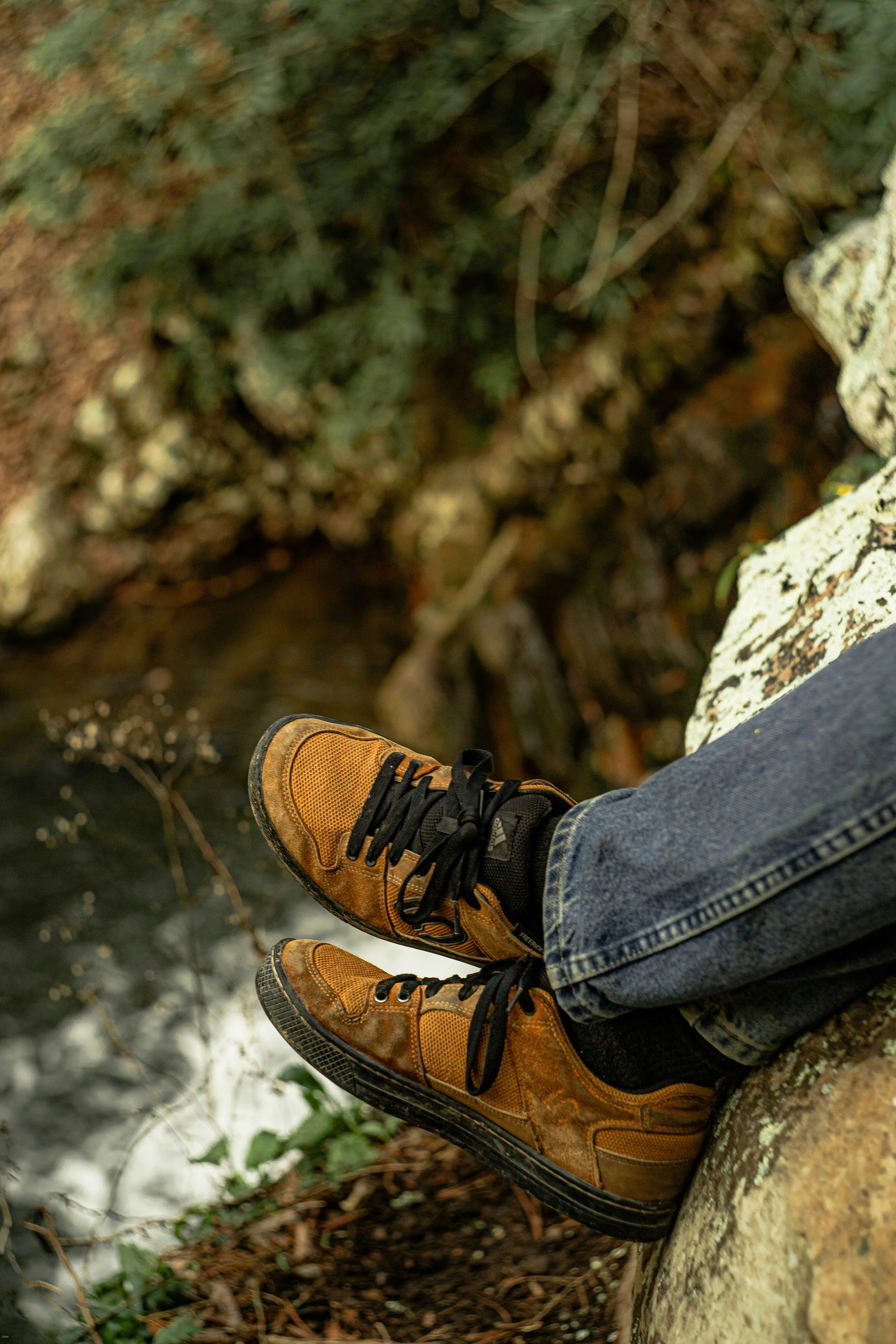 Photo by dylan_michaud